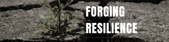 Forging Resilience